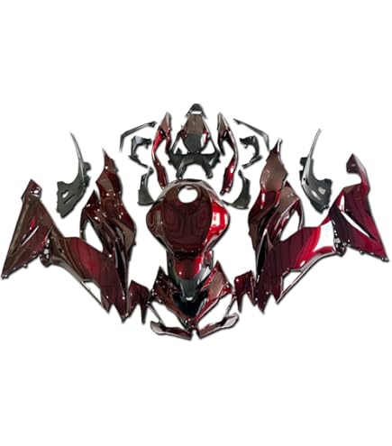 Amazon.com: ZXMOTO Unpainted Fairing Kit For Kawasaki Ninja ZX6R