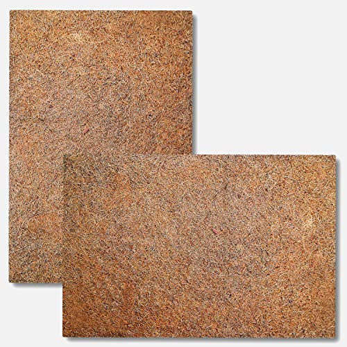 Best Terrarium Substrate Buying Guide GistGear