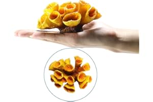 Danmu 1Pc of Polyresin Coral Ornaments, Aquarium Coral Decor for Fish Tank Aquarium Decoration 5 1/10" x 4 1/3" x 2 2/5"