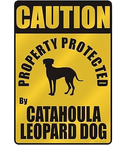 Panneau D'avertissement En Métal Avec Inscription « Caution Dog