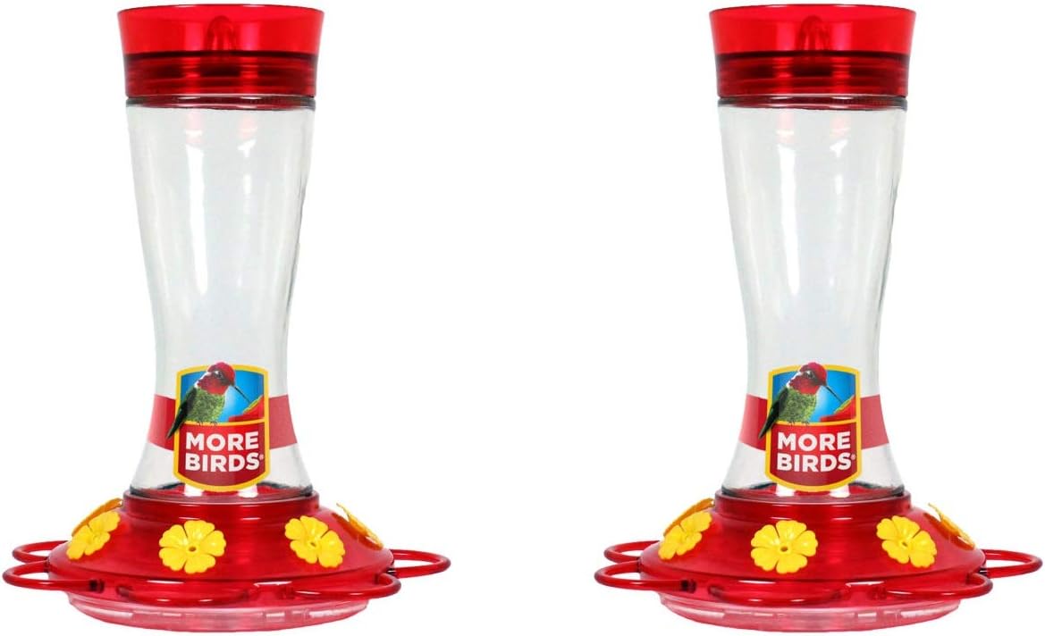 (2 Pack) More Birds Garnet Hummingbird Feeder with Multiple Feeding Stations, 20 Fluid Ounce Capacity