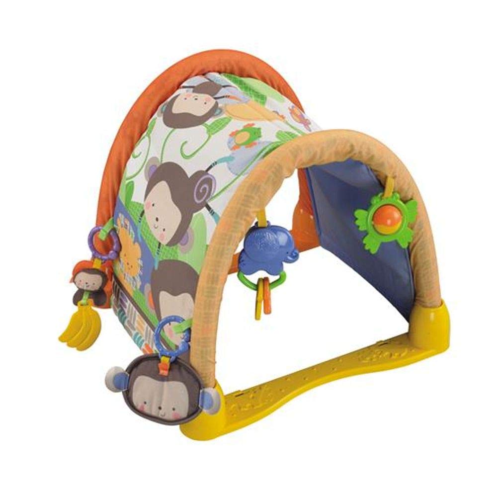 fisher price my little snugamonkey