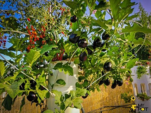 MODELO TORRE - MyPot - HUERTO VERTICAL HIDROPÓNICO AUTOMÁTICO ...