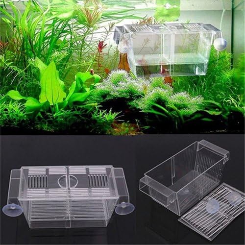 GlobalDeal Direct Aquarium Fish Tank Guppy Double Breeding Breeder Rearing Trap Box Hatchery