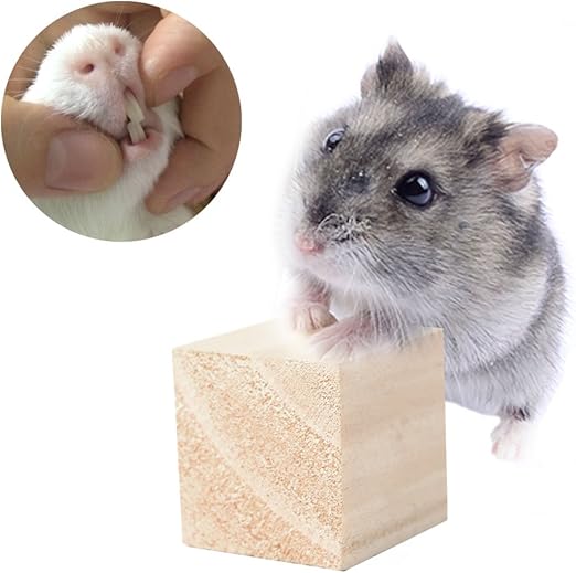 hamster toys amazon