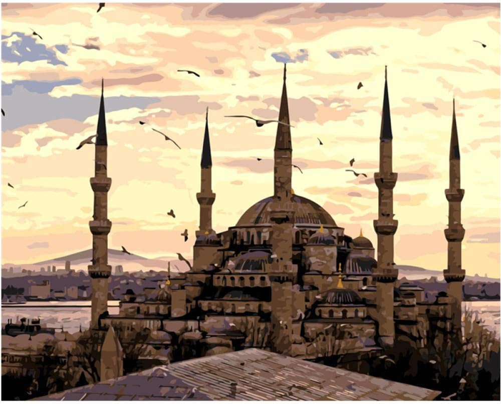 ZDDYX Painting by Number DIY Wall Decoration Turkey Handmade Painting Beautiful Canvas Painting by Number Surprise Gift Great Success,40X50Cm with Frame