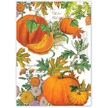 Michel Design Works TOW281 Cotton Kitchen Dish Towel, Pumpkin Melody