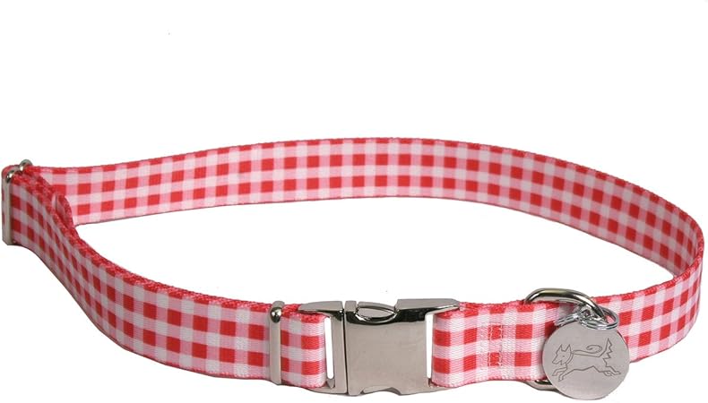 southern dog collars