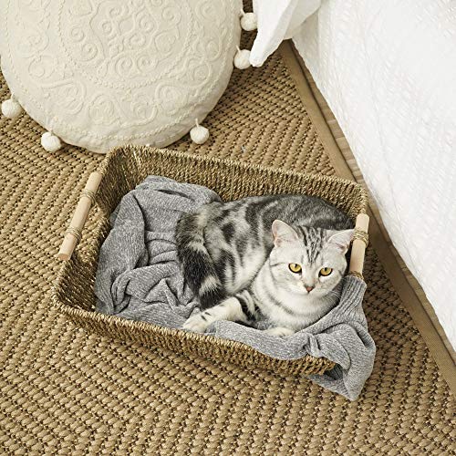 StorageWorks HandWoven Jumbo Storage Baskets with Wooden Handles