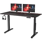 FLEXISPOT Electric RGB Gaming Standing Desk, 55" Dual Motor Height Adjustable Desk with Magnetic Desk Mat & Integrated Cable Management, Ergonomic Sit-Stand Computer Workstation for PC Gamers