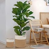 Tenn Well 30cm Indoor Plant Pot Basket with Liner Cotton Woven Storage view 6