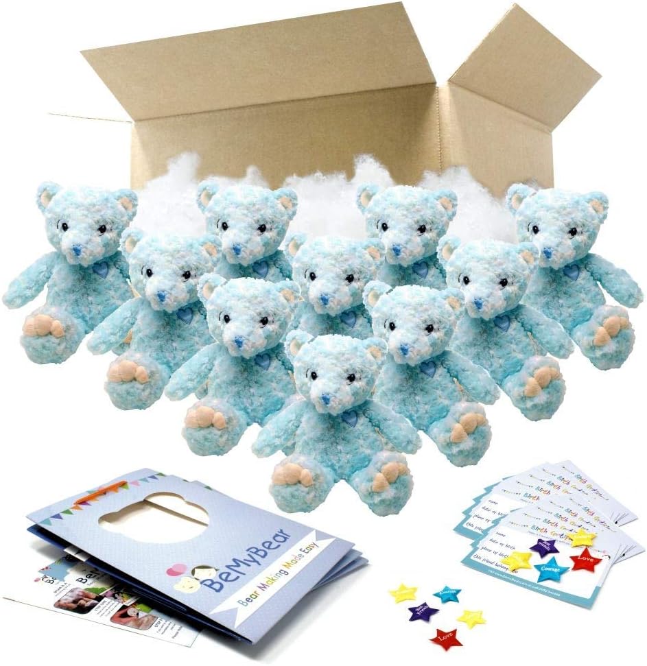 Be My Bear Prince 16" Blue Teddy Bear Making Birthday Party Pack (10 x No Sew Kits)
