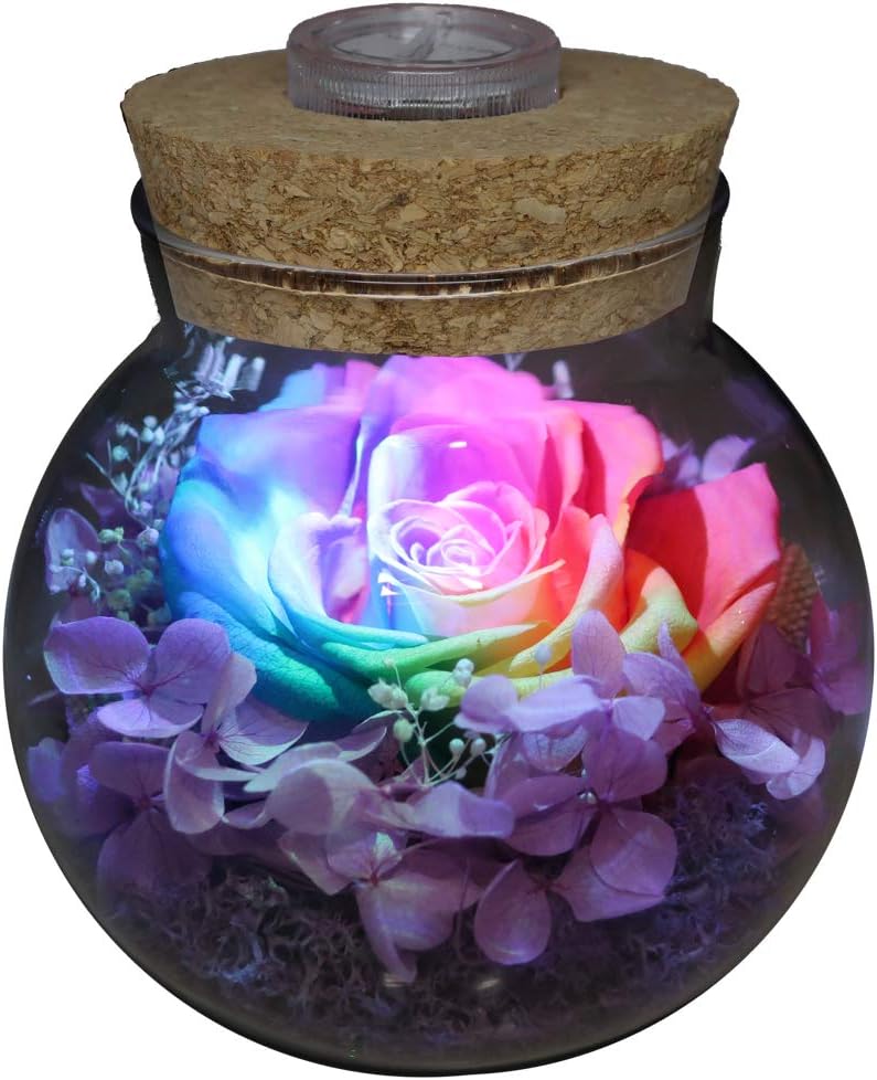 Preserved Real Roses with Colorful Mood Light Wishing Bottle,Eternal Rose，Never Withered Flowers,for Bedroom Party Table Decor, Christmas Decorations,a Gifts for Women (Rainbow)