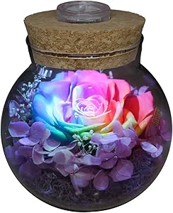 Preserved Real Roses with Colorful Mood Light Wishing Bottle,Eternal Rose，Never Withered Flowers,for Bedroom Party Table Decor, Christmas Decorations,a Gifts for Women (Rainbow)