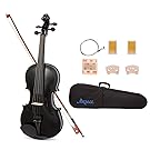 ARTALL 4/4 Full Size Handcrafted Acoustic Violin Beginner Kit for Student with Hard Case, Bow & Accessories, glossy Black