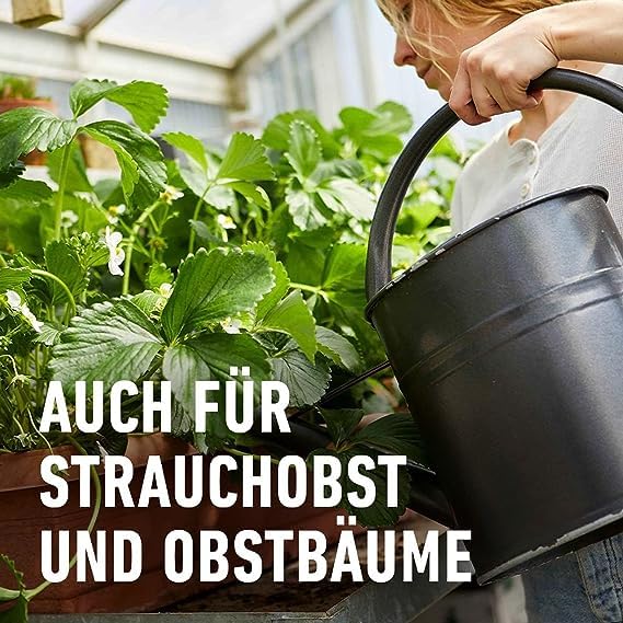 COMPO Beeren Langzeit-Dünger für Beeren, Obst und Feingemüse, Umweltschonendere Rezeptur, 6 Monate Langzeitwirkung, 2 kg, 45 m² 5