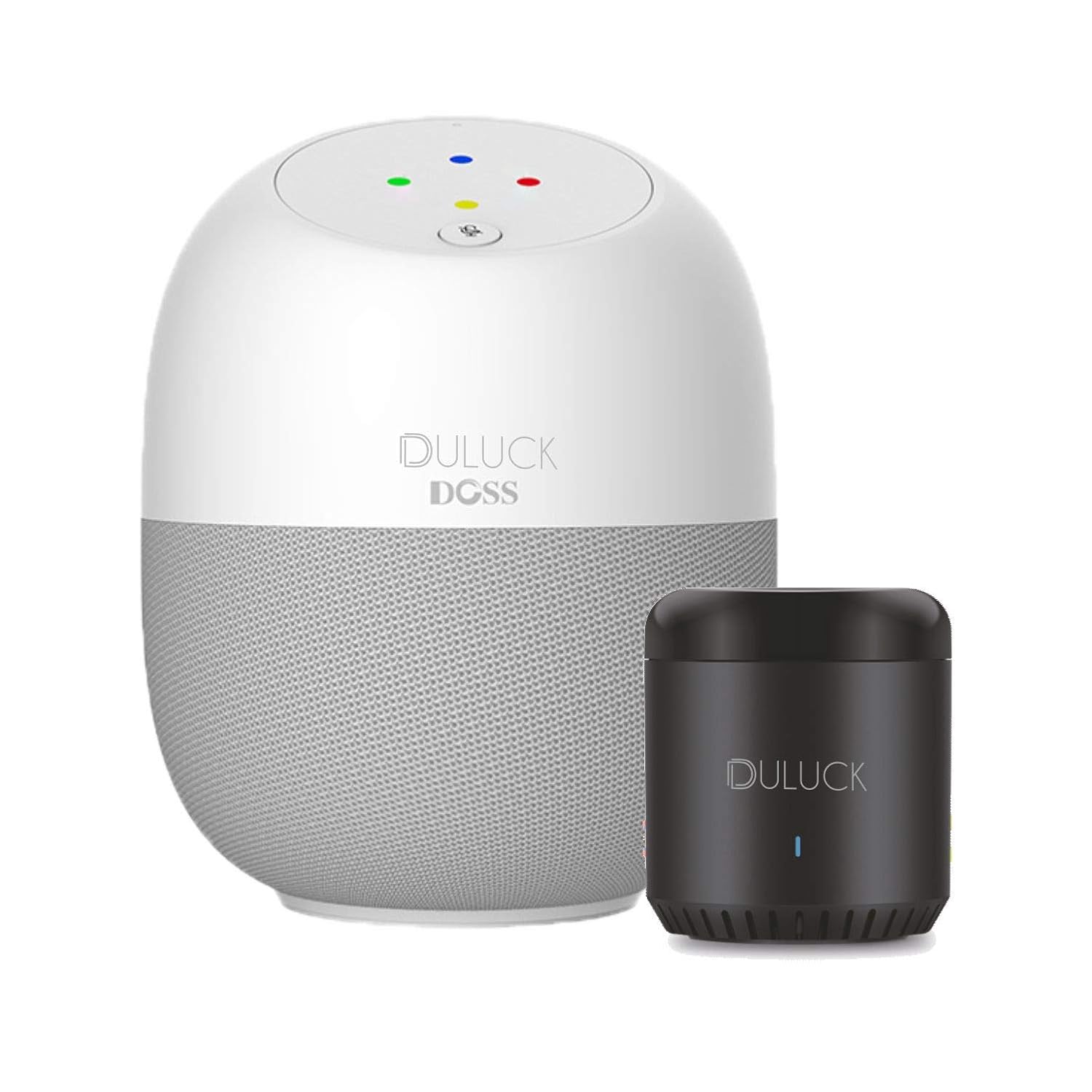 remote speakers for alexa