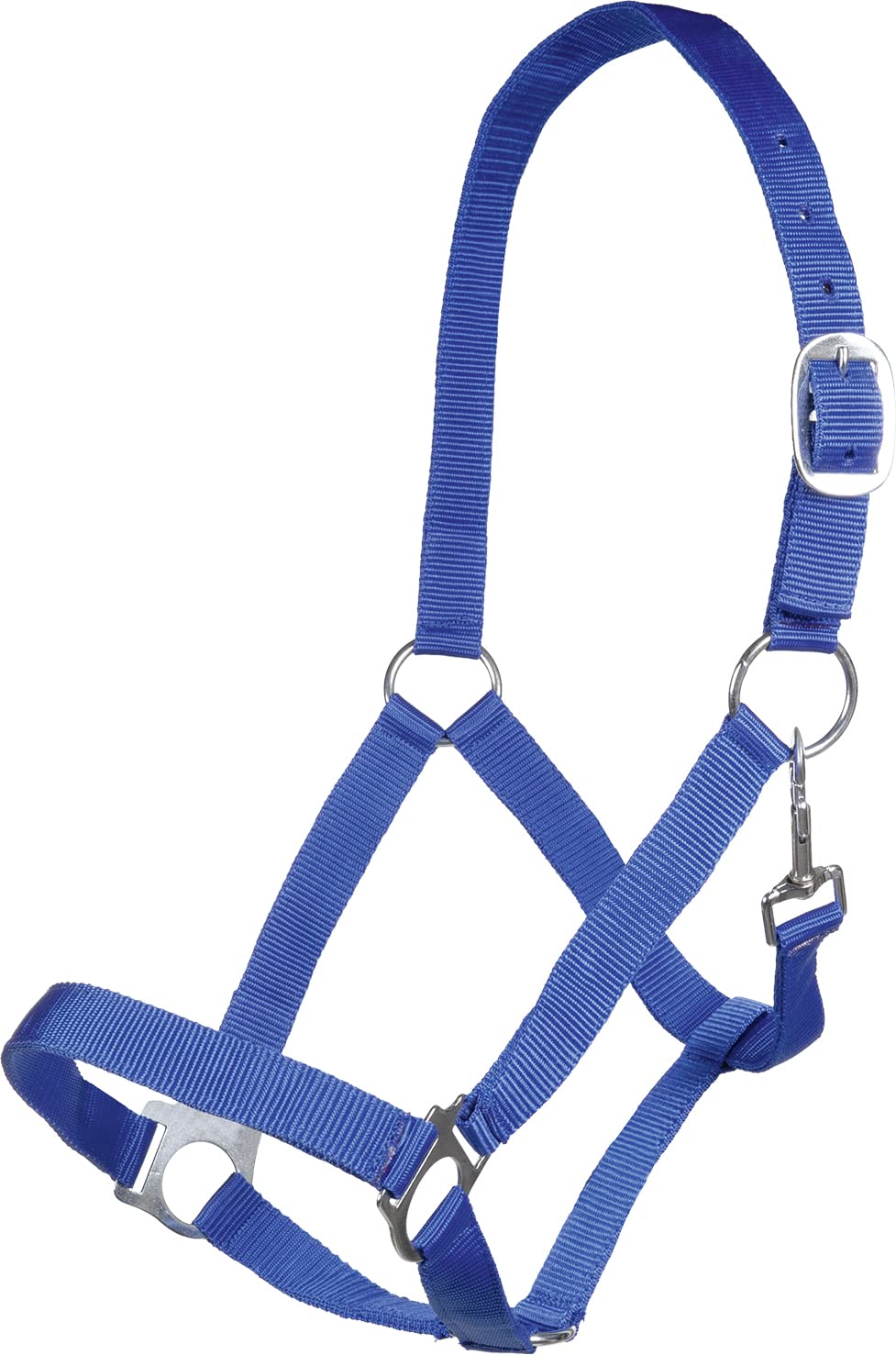 Posten Halter-10978 Halter 6801 Royal Blue Thoroughbred