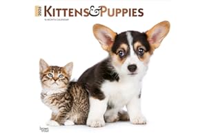 Kittens & Puppies | 2026 12 x 24 Inch (Hanging) Monthly Square Wall Calendar | Foil Stamped Cover | BrownTrout | Animals Cute