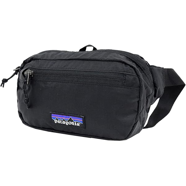 Amazon.com: Patagonia Hip Pack