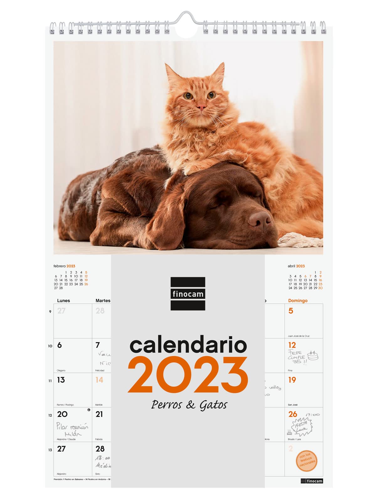 Finocam - Calendar 2023 Spiral Wall Images for Writing January 2023 - December 2023 (12 months) Dogs and cats Spanish