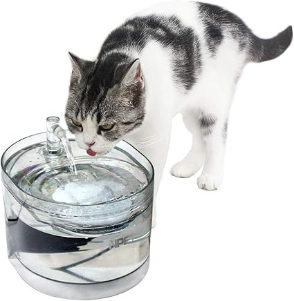 Npet Automatique Fontaine à Eau Pour Chat Chien Distributeur Eau Pour Animal Domestique Filtre 16l électrique Et Ultra Silencieuse Wf030