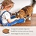 Emerald Pet Feline Health Chews Hairball Support — Natural Grain Free Feline Hairball Control Chews — Hairball Control Cat Supplements for Hairball Prevention and Elimination — Made in USA, 2.5 oz