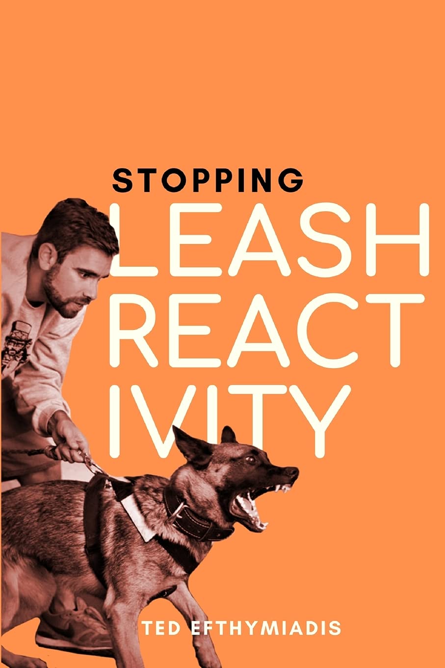 leash reactivity training
