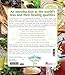 The Everything Healthy Tea Book: Discover the Healing Benefits of Tea (Everything Series)