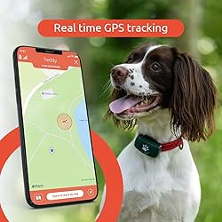 PitPat Dog GPS Tracker - No Subscription Fees