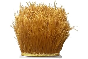 LONDGEN 2Yards Colorful Ostrich Feathers Fringe Trims for Craft Dress Sewing, Clothes, Shoes and Hats Decoration Making Wedding Decoration(Gold)