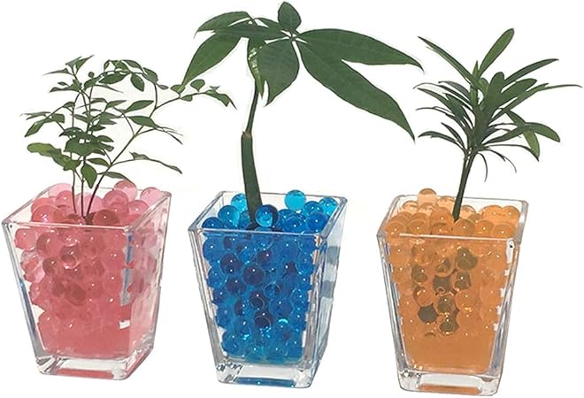 Amazon ミニ 観葉植物 ゼリーボール ハイドロカルチャー 3鉢セット 観葉植物 オンライン通販 Amazon ミニ 観葉植物 ゼリーボール ハイドロカルチャー 3鉢セット 観葉植物 オンライン通販