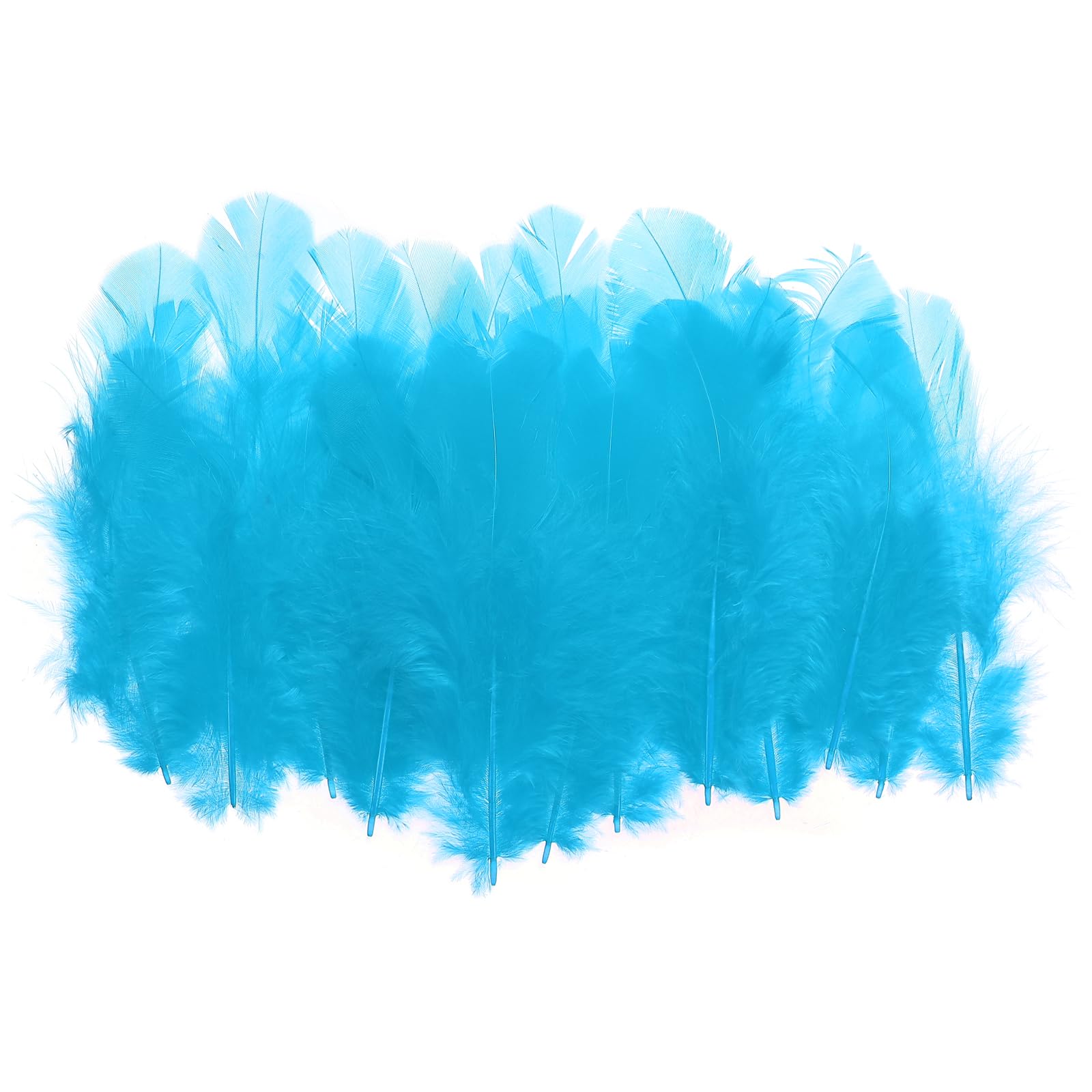 PATIKIL 1.5-3 Inch Saddle Hackle Rooster Feather, 300 Pcs Bulk Natural Feathers Fluffy Craft Feathers for Dream Catcher Earrings Pendant, Lake Blue