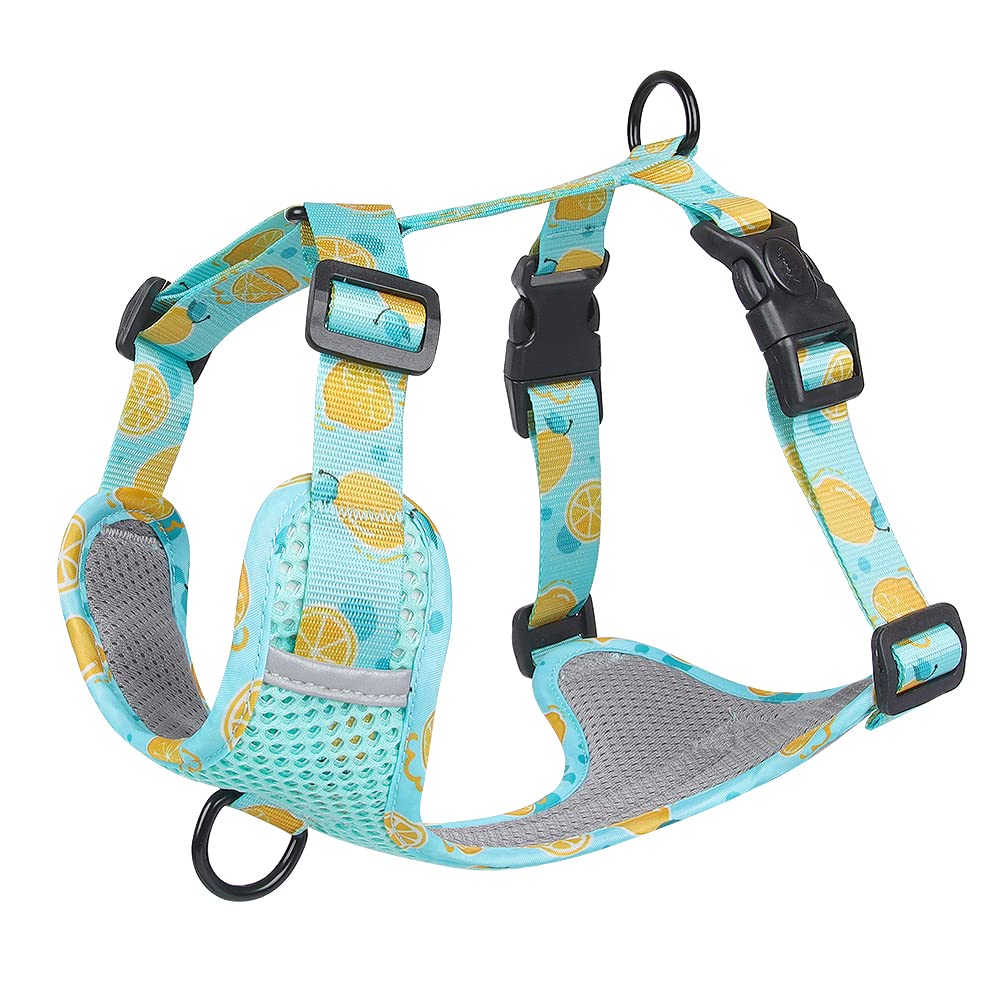MeiAOBest Dog Harness for Summer, No pull Adjustable Breathable With D-ring Reflective Harness Webbing Walking Harness for Small Meduim Large Dogs_XL(Lake Blue)