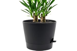UOUZ Self Watering Pots for Indoor Plants,12 inch Planters with Drainage Holes Plastic Flower Pots with Deep Reservoir, Black