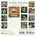 Fairy Houses 2018 Calendar