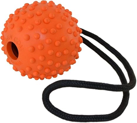 ray allen dog training