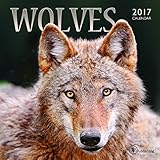 2017 Wolves Mini Calendar by 