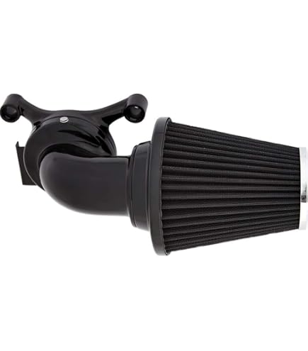 Amazon.com: Arlen Ness 81010 Monster Sucker Air Cleaner Kit