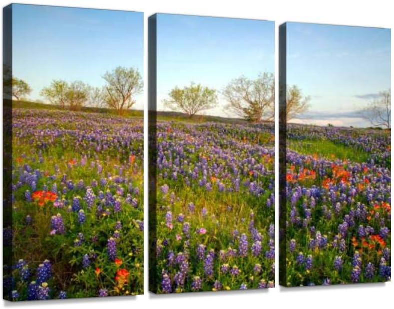 bluebonnets in texas hill country natural landscape stock pictures - Canvas Wall Art -Paintings Wall Artworks Pictures for Living Room Bedroom Decoration 3 Panels Home Wall Decor Posters