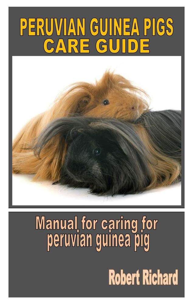 peruvian guinea
