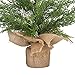 VGIA 18 inch Mini Christmas Tree Artificial Christmas Pine Tree with a Wooden Base Tabletop Christmas Tree