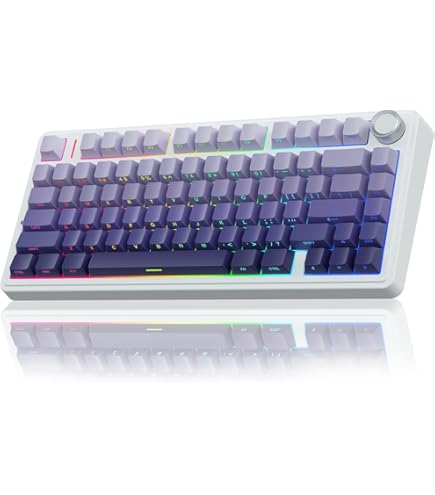 Amazon.com: Varmilo Minilo VXH67 Eucalyptus 65% Wired Hotswap