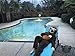 Party Sloth Costume Brown