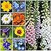 Bulk Package of 30,000 Seeds, Partial Shade Wildflower Mixture (15 Species) Non-GMO Seeds by Seed Needs primary