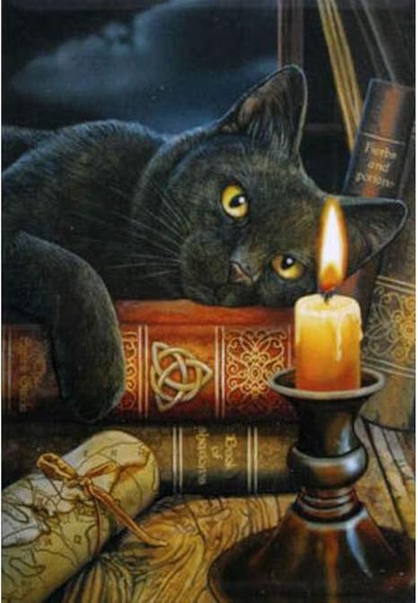 Amazon 猫ダイヤモンド絵画ハリーポッターダイヤモンド絵画ハロウィーンギフトダイヤモンドアートクロスステッチダイヤモンド絵画キットラインストーンダイヤモンド絵画ダイヤモンド絵画フルドリル5dダイヤモンド絵画キット大人のためのダイヤモンドドット子供と大人の Amazon 猫ダイヤモンド絵画ハリーポッターダイヤモンド絵画ハロウィーンギフトダイヤモンドアートクロスステッチダイヤモンド絵画キットラインストーンダイヤモンド絵画ダイヤモンド絵画フルドリル5dダイヤモンド絵画キット大人のためのダイヤモンドドット子供と大人の