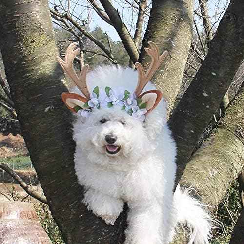 Omem ペットクリスマス帽子 猫のかぶりも 枝角アクセサリー 猫犬の仮装 S B07y66cq9c 800円 激安通販ショッピング 超人気 専門店 人気海外一番 超美品再入荷品質至上 当店一番人気 Omem ペットクリスマス帽子 猫のかぶりも 枝角アクセサリー 猫犬の仮装 S B07y66cq9c 800円 激安通販ショッピング 超人気 専門店 人気海外一番 超美品再入荷品質至上 当店一番人気