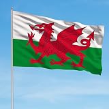 SHATCHI Welsh Flag 3x2 ft Wales Dragon Cymru Polyester Flag with Brass Eyelets view 3