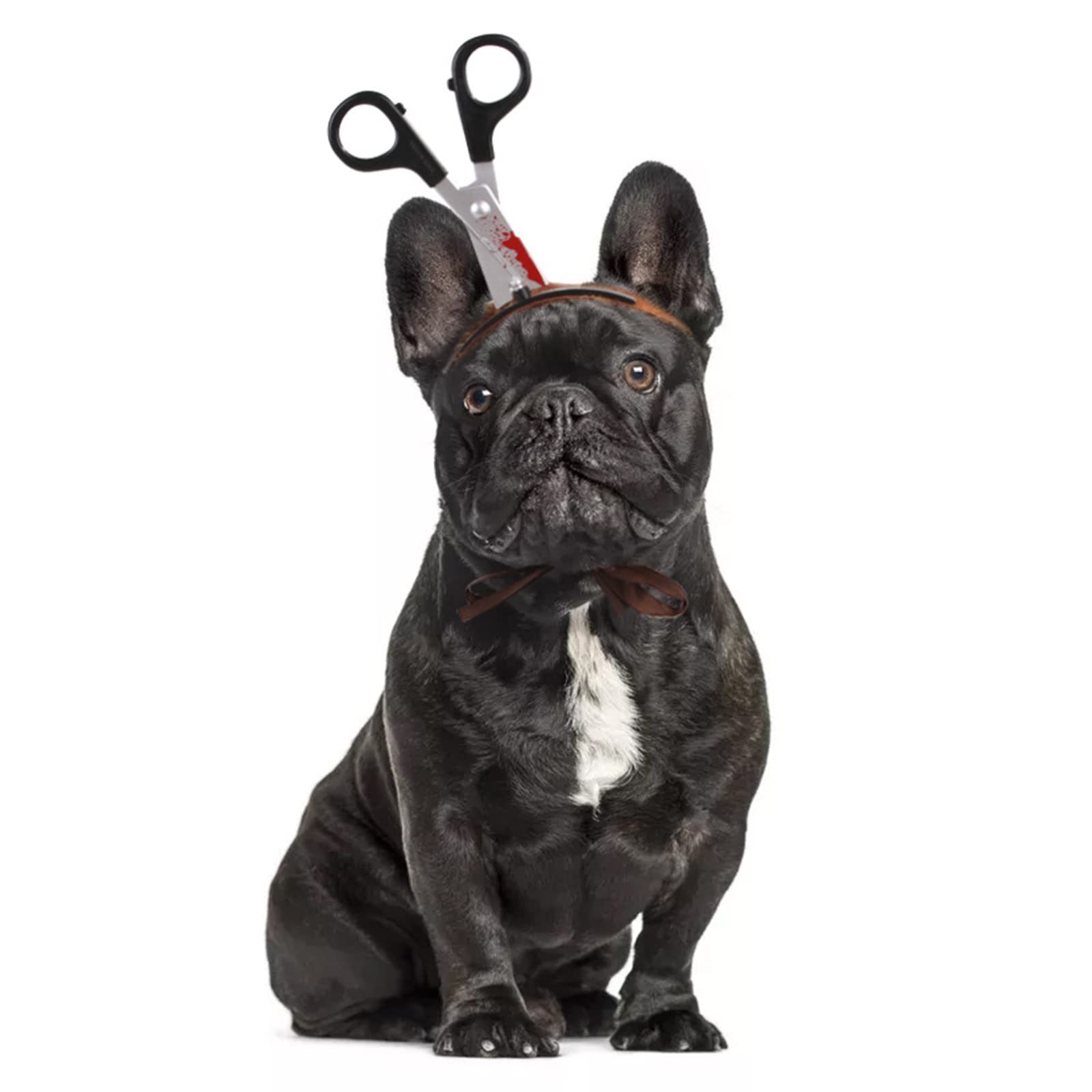 Faxianther Bloody Halloween Costume Pet Headband Scary Cat Dog Headdress Adjustable Head Band Cosplay Party Puppy Headwear Pet Dress-Up Costumes Accessories Trick Props