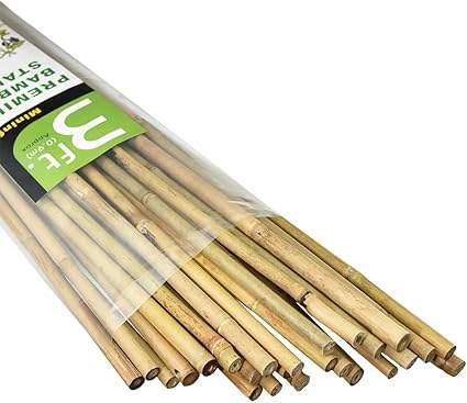 photo Bamboo Sticks For Plant Support Amazon mininfa natural bamboo stakes 3 feet eco friendly garden stakes plant stakes supports climbing for tomatoes trees beans 25 pack